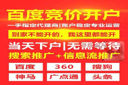 案例分享：SEM优化实战案例解析